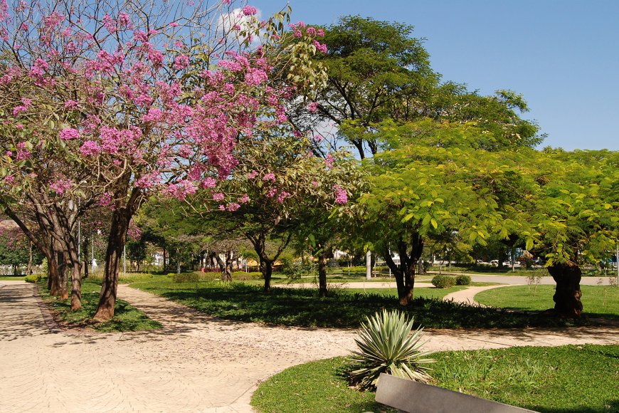 Cidades do Circuito das Águas estão entre as mais caras do interior de SP