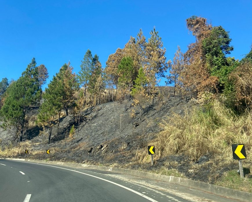 Brasil concentra 72% dos incêndios registrados na América do Sul